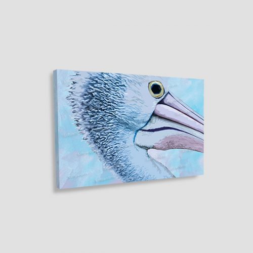 canvas pelicano
